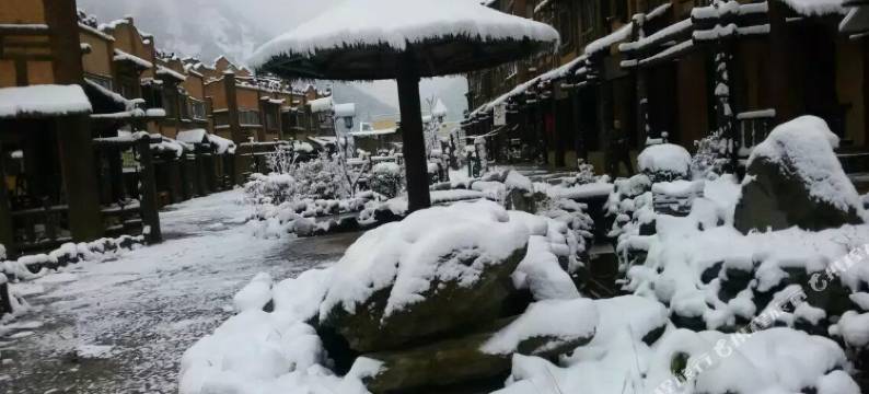 汶川卧龙客栈图片