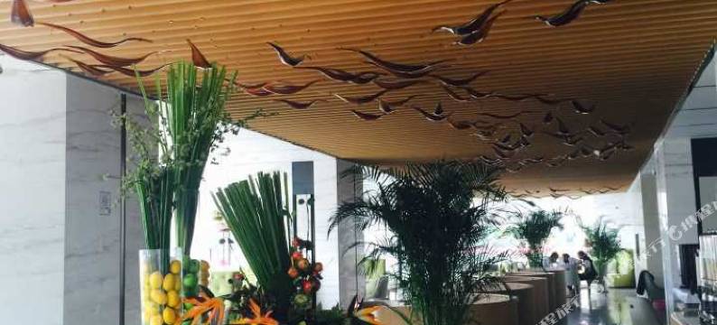 青岛中联自由港湾海景度假公寓图片