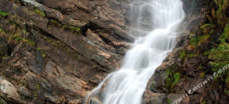 庐山我家的客栈图片