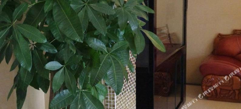 齐齐哈尔东亚宾馆图片