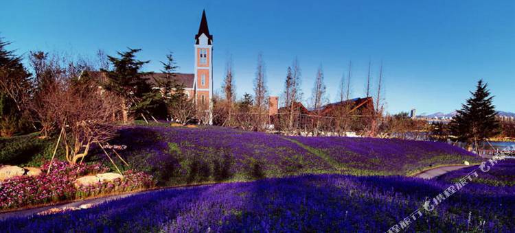 烟台龙湖葡醍海湾别墅壹号苑图片