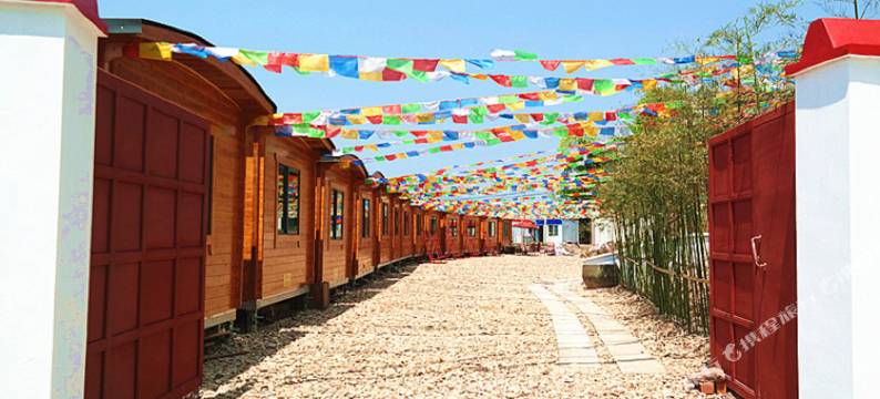 临海蜂巢网房车宿营地图片