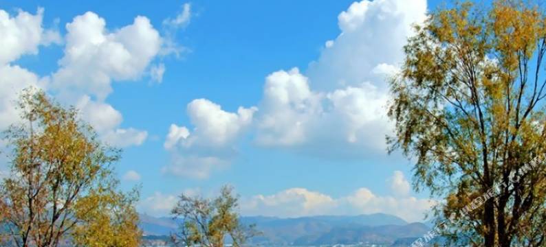 大理渝瑞客栈图片