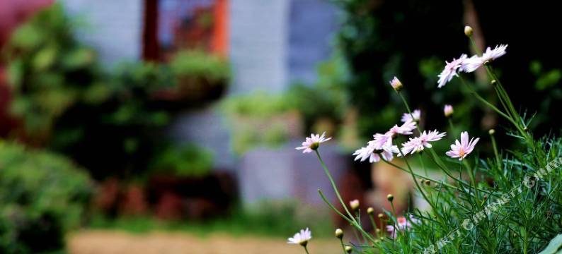 腾冲羽宿客栈图片