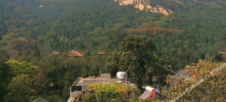 泰山嘉恒宾馆图片