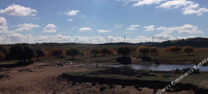 围场雅静家庭公寓图片