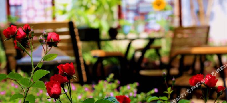 腾冲羽宿客栈图片