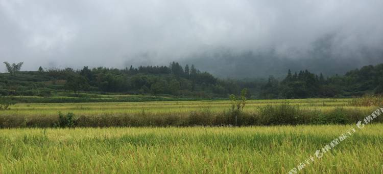 黟县徽商缘客栈图片