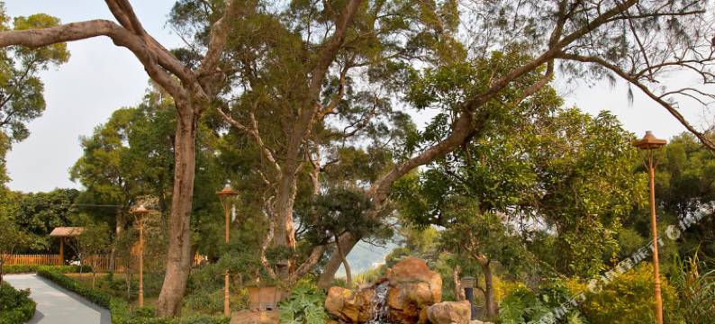 深圳荔景湾酒店(桔钓沙店)图片