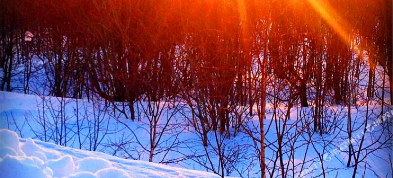 阿尔山麒麟山庄图片