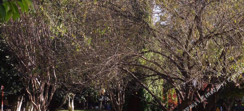 迎客酒店(昆明同德广场翠湖公园店)图片