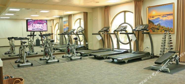 嘉义皇品国际酒店图片