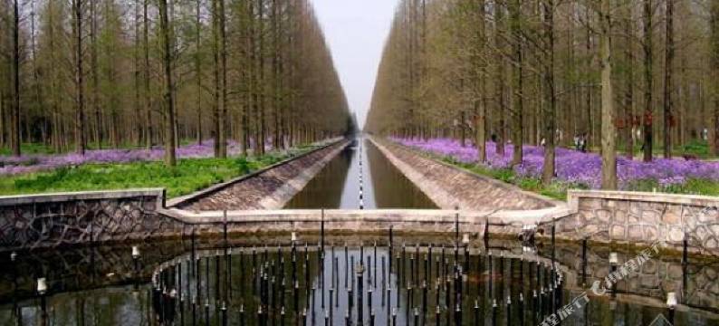 上海深宅小院宾馆图片