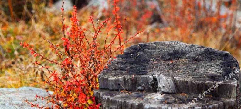 阿尔山麒麟山庄图片