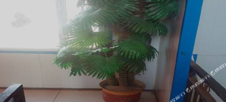 五原福林宾馆图片