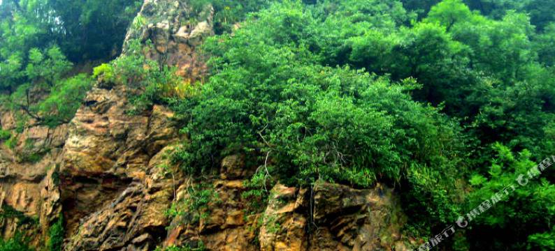 旬邑温泉招待所图片