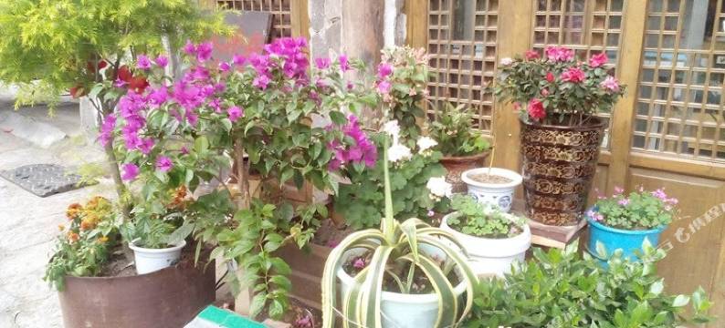 泸定鑫飞背包客栈图片