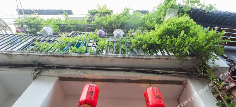 上海紫藤苑民宿(朱家角古镇店)图片
