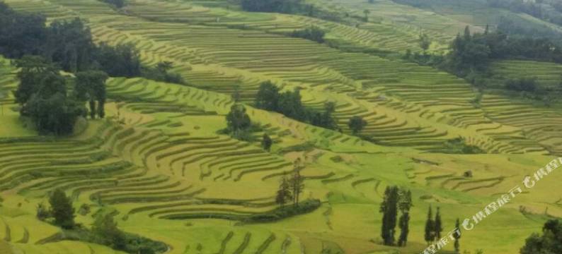 元阳山外青山客栈图片