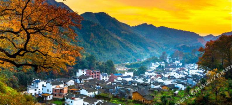 婺源山景红枫客栈图片