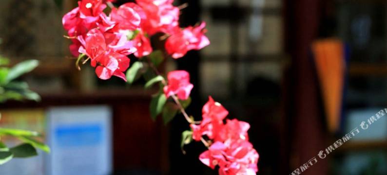 腾冲羽宿客栈图片