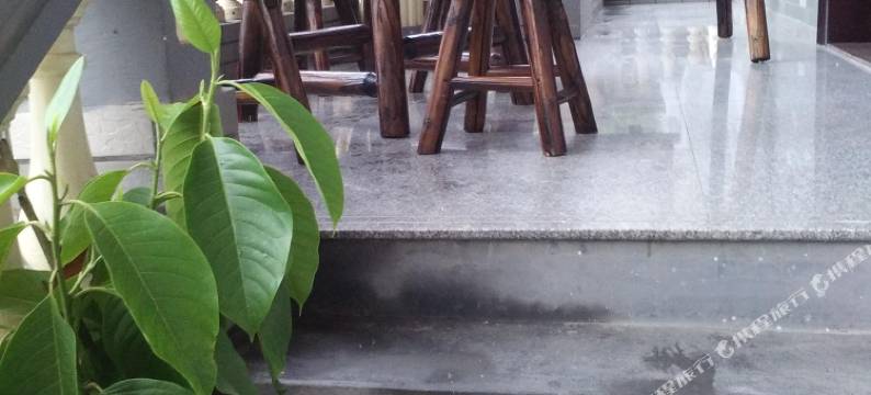 莫干山枫雅居山庄图片