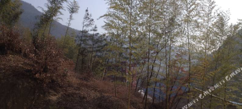 岳西聚福客栈图片