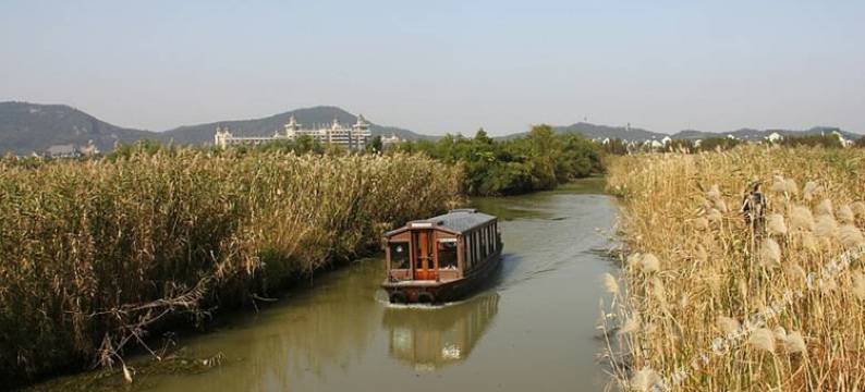 莫干山竹韵山庄(仙潭村景区店)图片