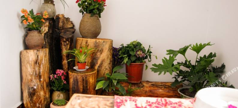 香格里拉怡海蓝山驿站图片