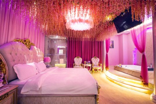 天鹅恋情侣主题酒店西安小寨店