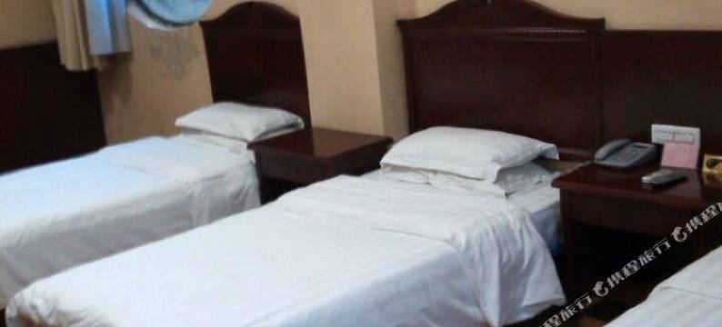 卢氏城关鑫电丽商务酒店图片