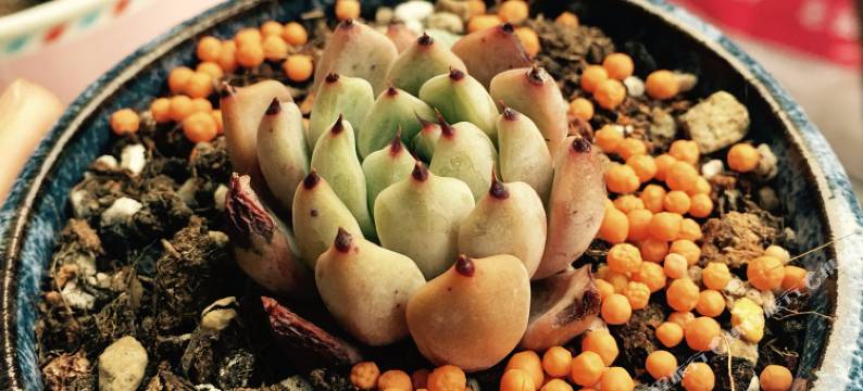 朱家尖乌石塘屿浔民宿图片