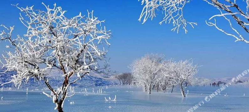 塞罕坝杰事杰民宿图片