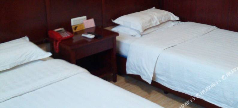 卢氏城关鑫电丽商务酒店图片