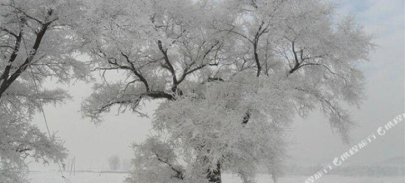 雾凇岛张羽客栈图片