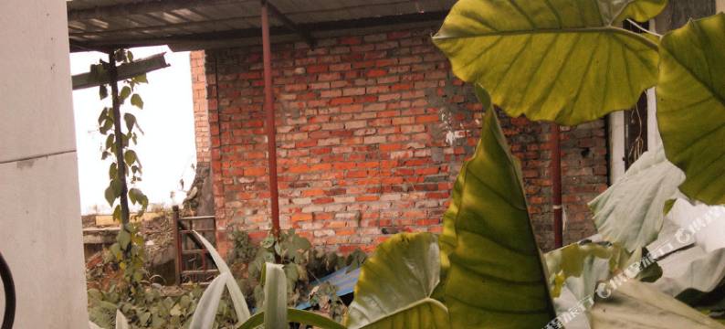 蒲江瀛洲客栈图片