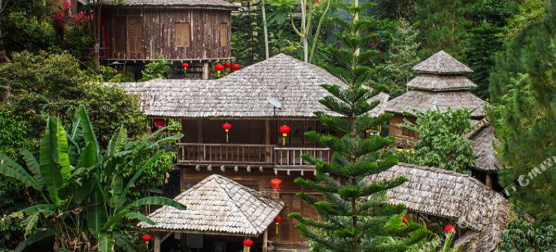 无花果树山度假村(Fig Tree Hill Resort)图片