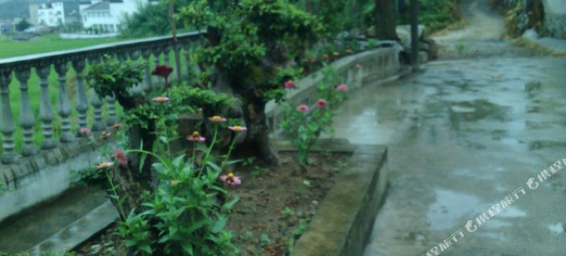 泾县景观客栈图片