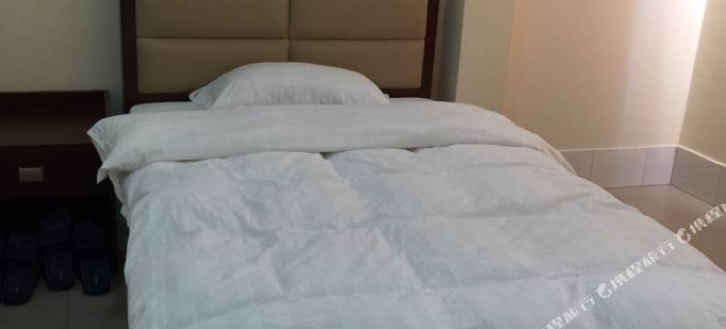 大新乐巢旅馆图片