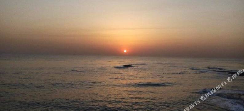 日照李杰渔家图片