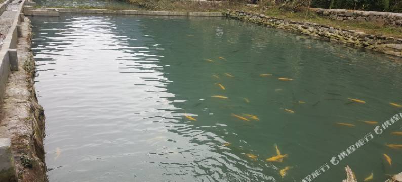 平武虎牙祥宇生态园图片