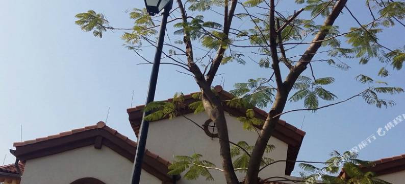 龙门南昆山·肯新顿温泉公寓式酒店图片