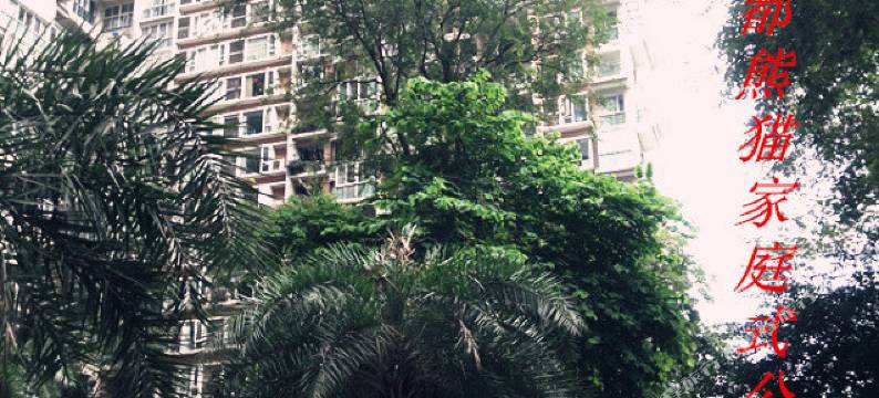 成都熊猫公寓图片