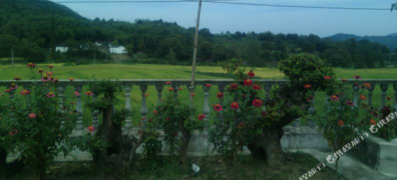 泾县景观客栈图片