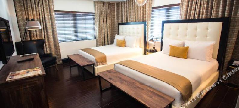 迈阿密海滩Croydon酒店(Hotel Croydon Miami Beach)图片