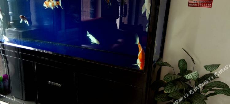 辉南新家快捷宾馆图片