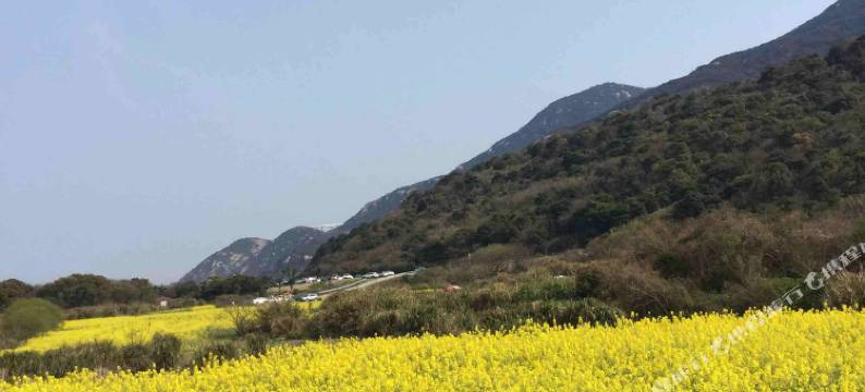 朱家尖东海译家客栈图片