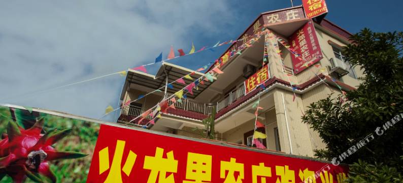 广州火龙果农庄图片