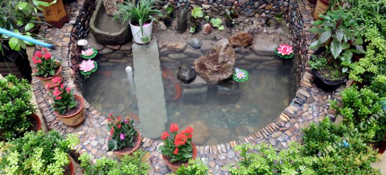 仙居淡竹清风民宿图片