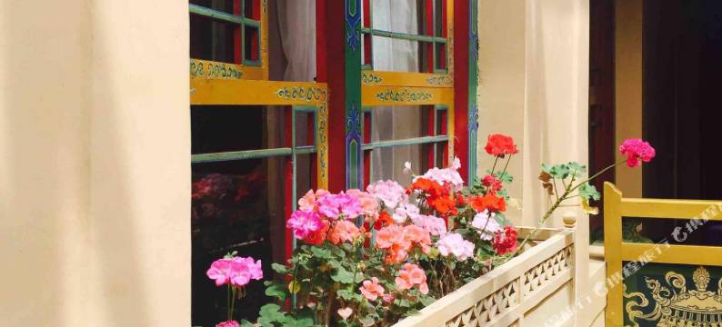 拉萨八宝宾馆(八廓街大昭寺店)图片